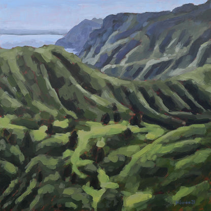 Along Marin's Trail