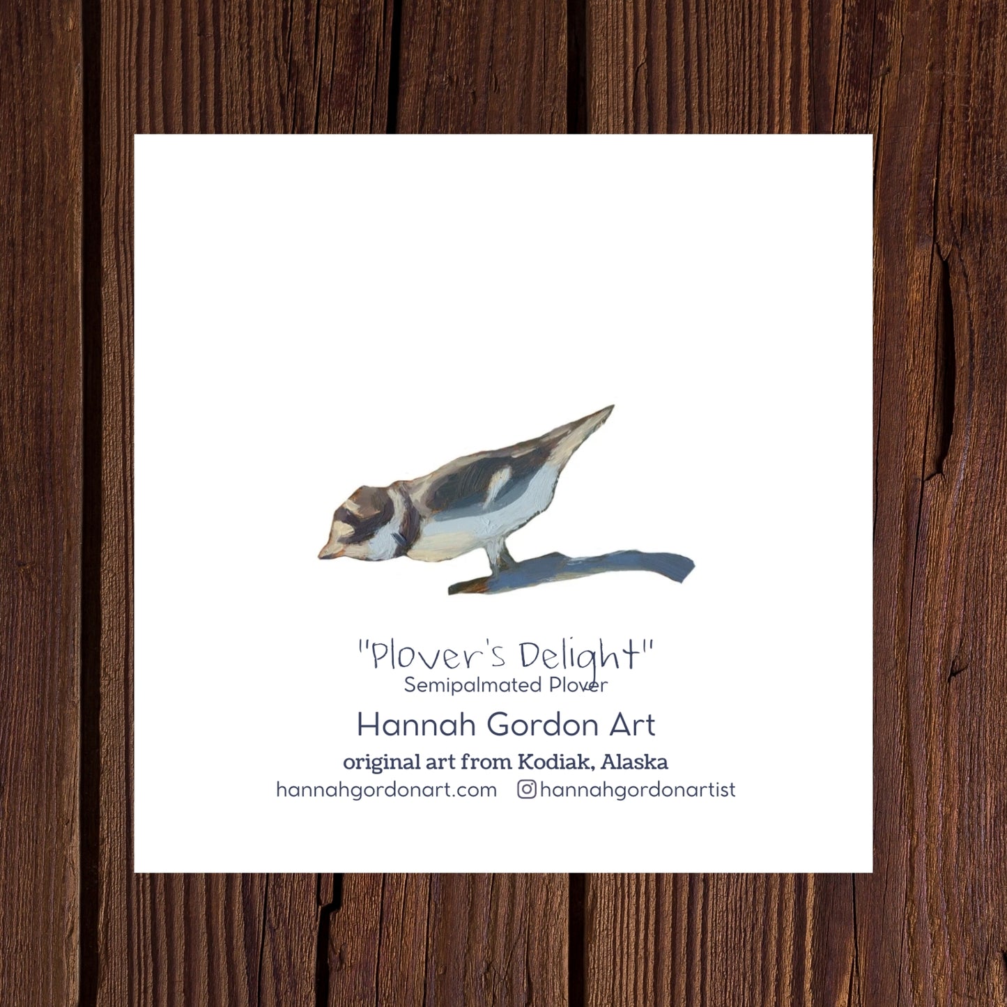 Plover's Delight - Pack of 5 Greeting Cards