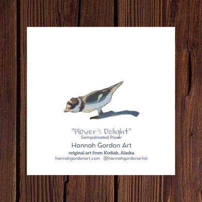 Taking Flight Collection - Pack of 7 Greeting Cards