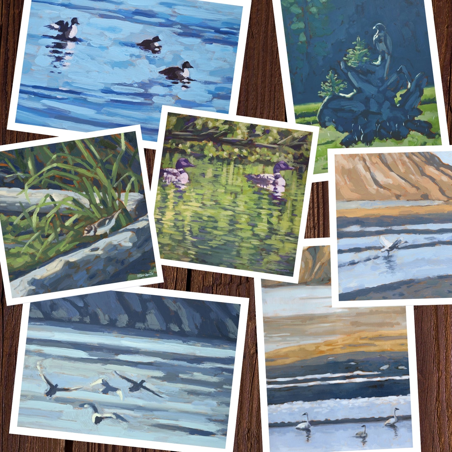 Taking Flight Collection - Pack of 7 Greeting Cards