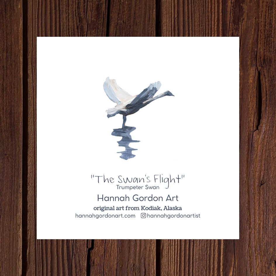 The Swan's Flight - Pack of 5 Greeting Cards