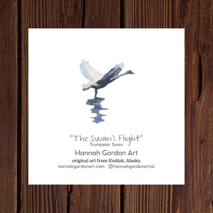 The Swan's Flight - Pack of 5 Greeting Cards