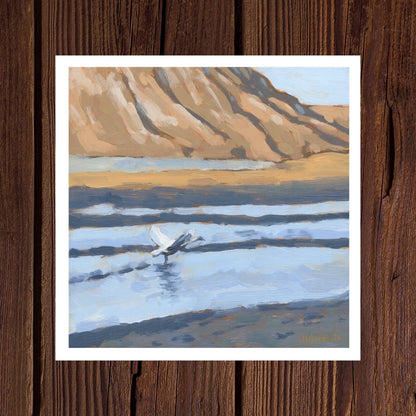 The Swan's Flight - Pack of 5 Greeting Cards