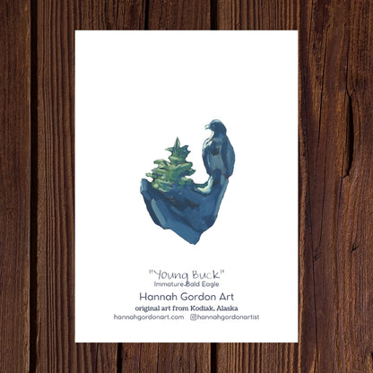 Young Buck - Pack of 5 Greeting Cards