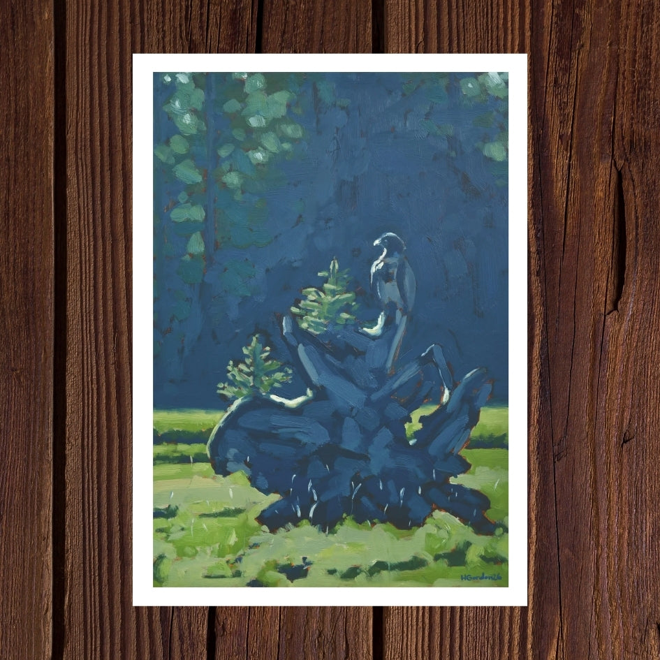 Young Buck - Pack of 5 Greeting Cards