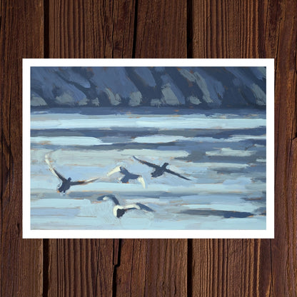 Taking Flight Collection - Pack of 7 Greeting Cards