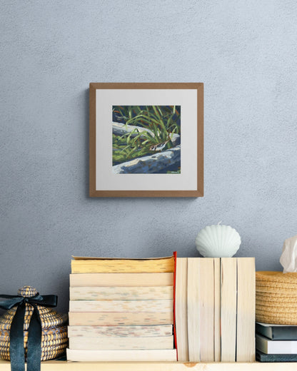 Plover's Delight - Print