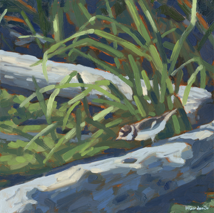 Plover's Delight - Print