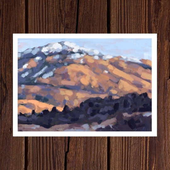 Snow Dust - Pack of 5 Greeting Cards