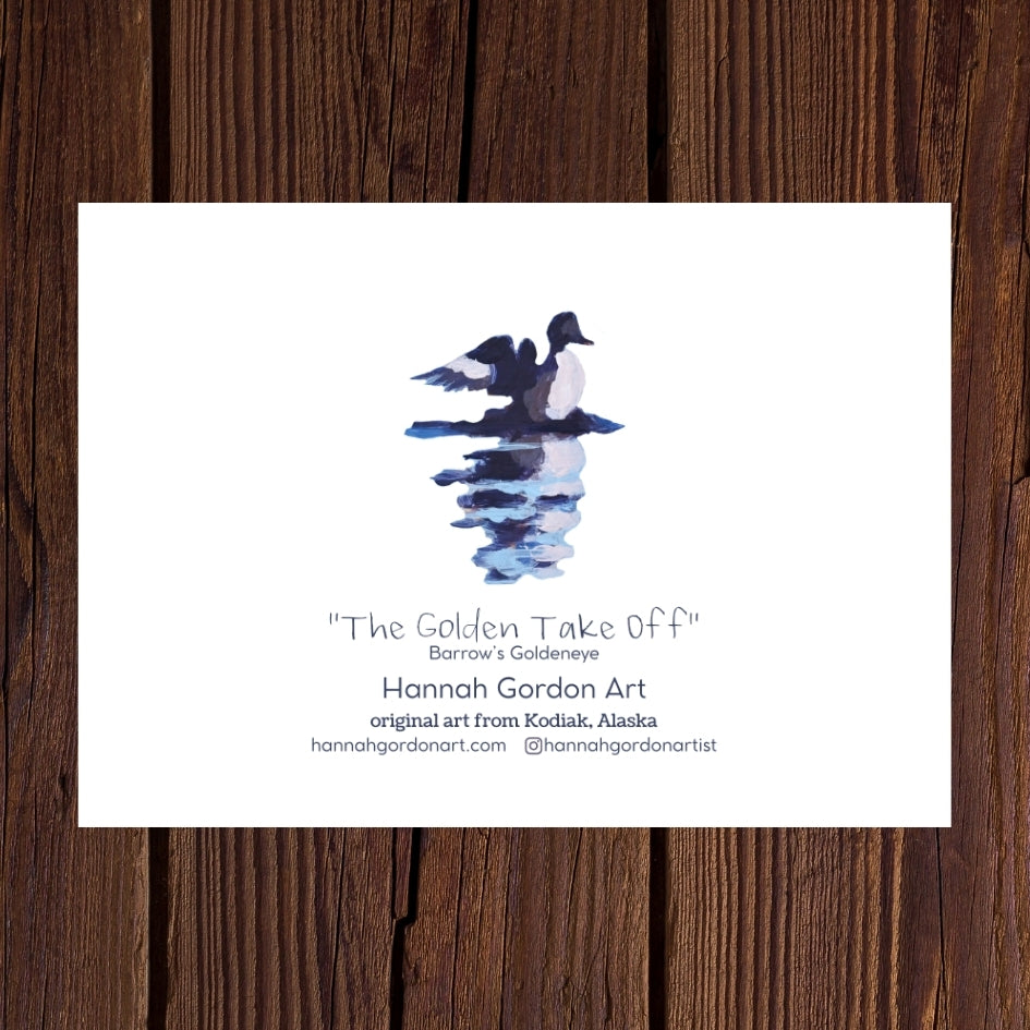 Taking Flight Collection - Pack of 7 Greeting Cards
