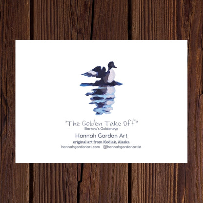Taking Flight Collection - Pack of 7 Greeting Cards