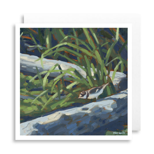 Plover's Delight Greeting Card