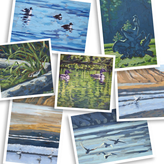 Taking Flight Collection - Pack of 7 Greeting Cards